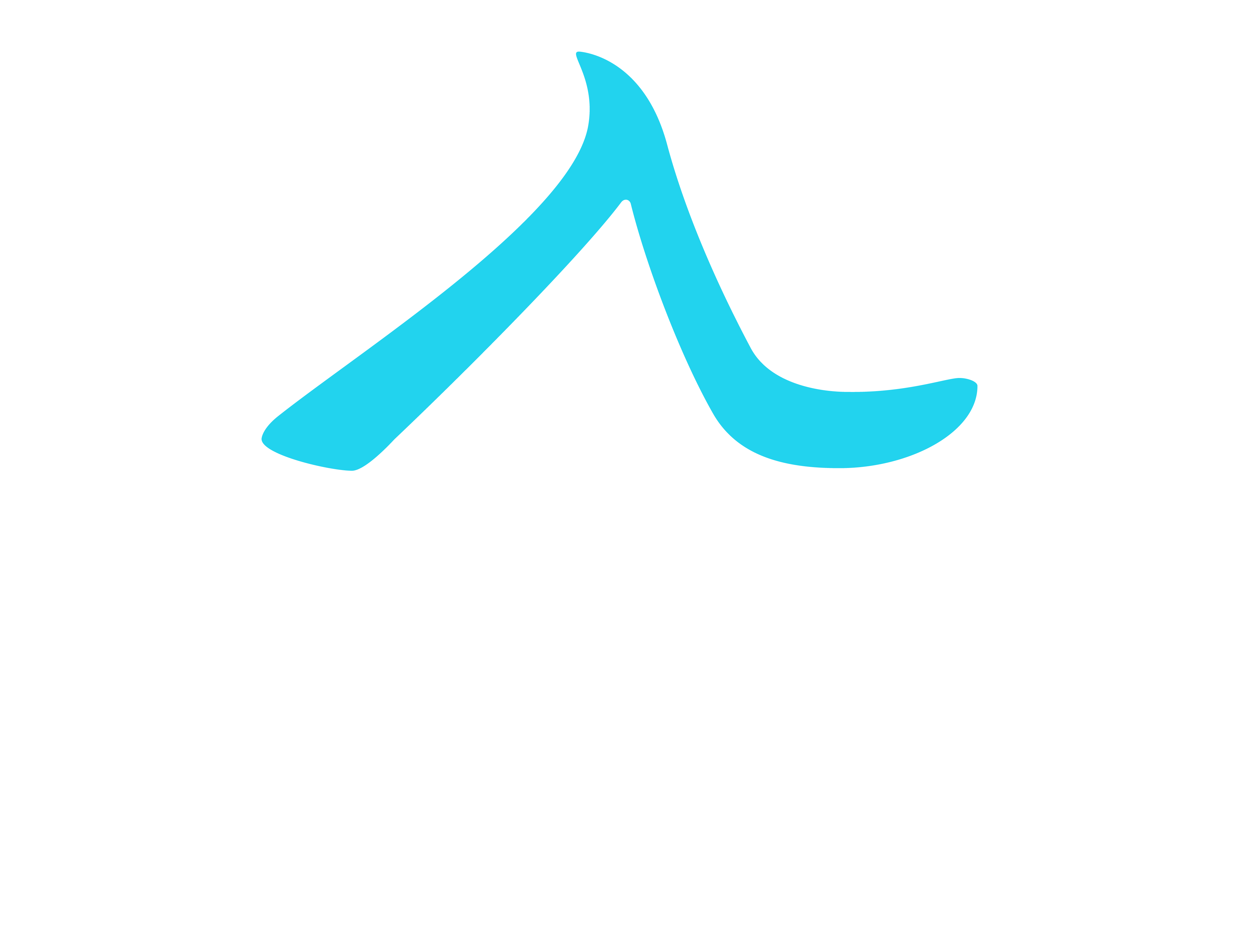 Icon Real Estate